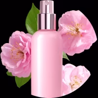 Perfume & Body Spray