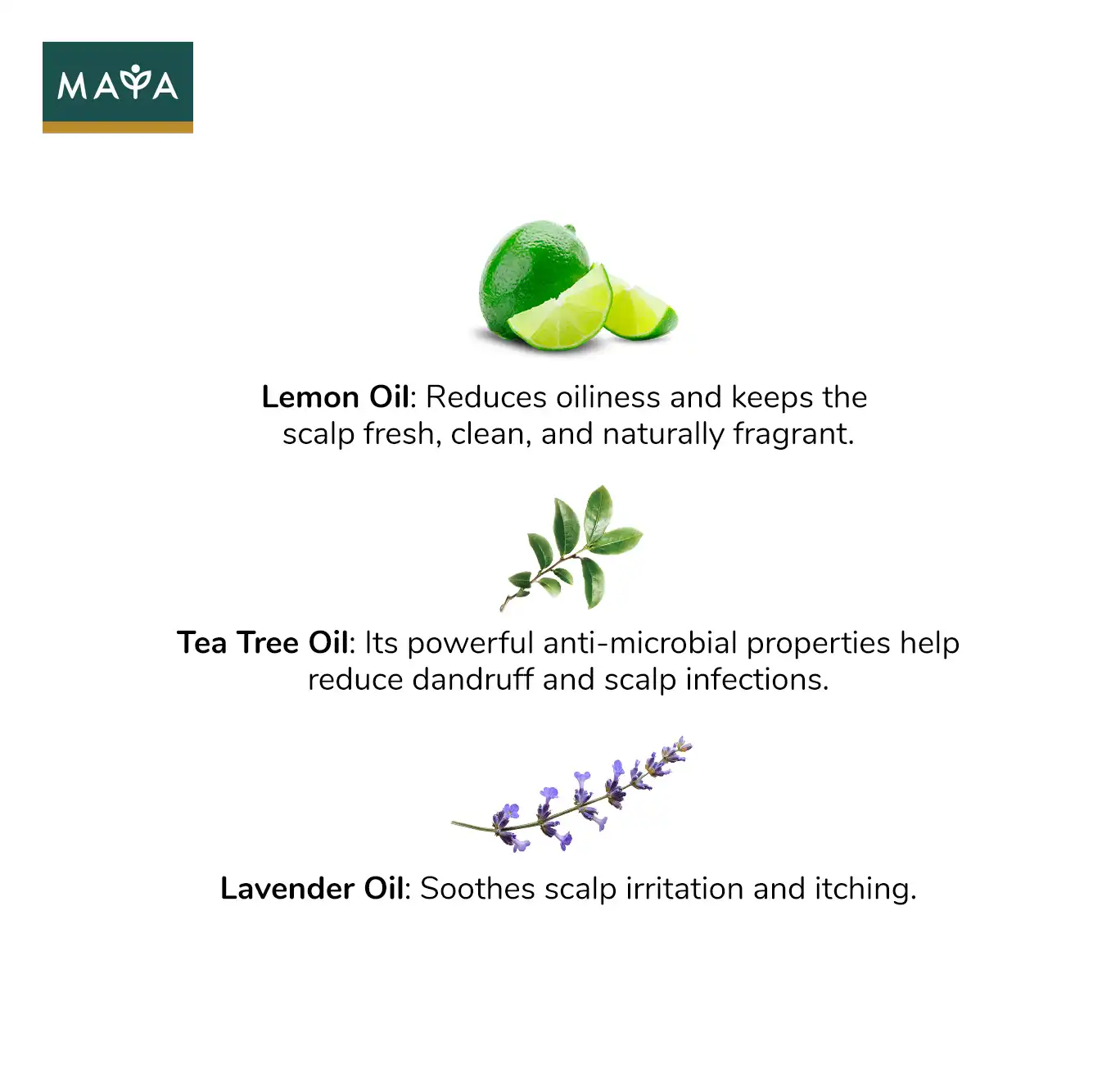 MAYA All Natural Hair Growth Scalp Serum – 30ml - 7